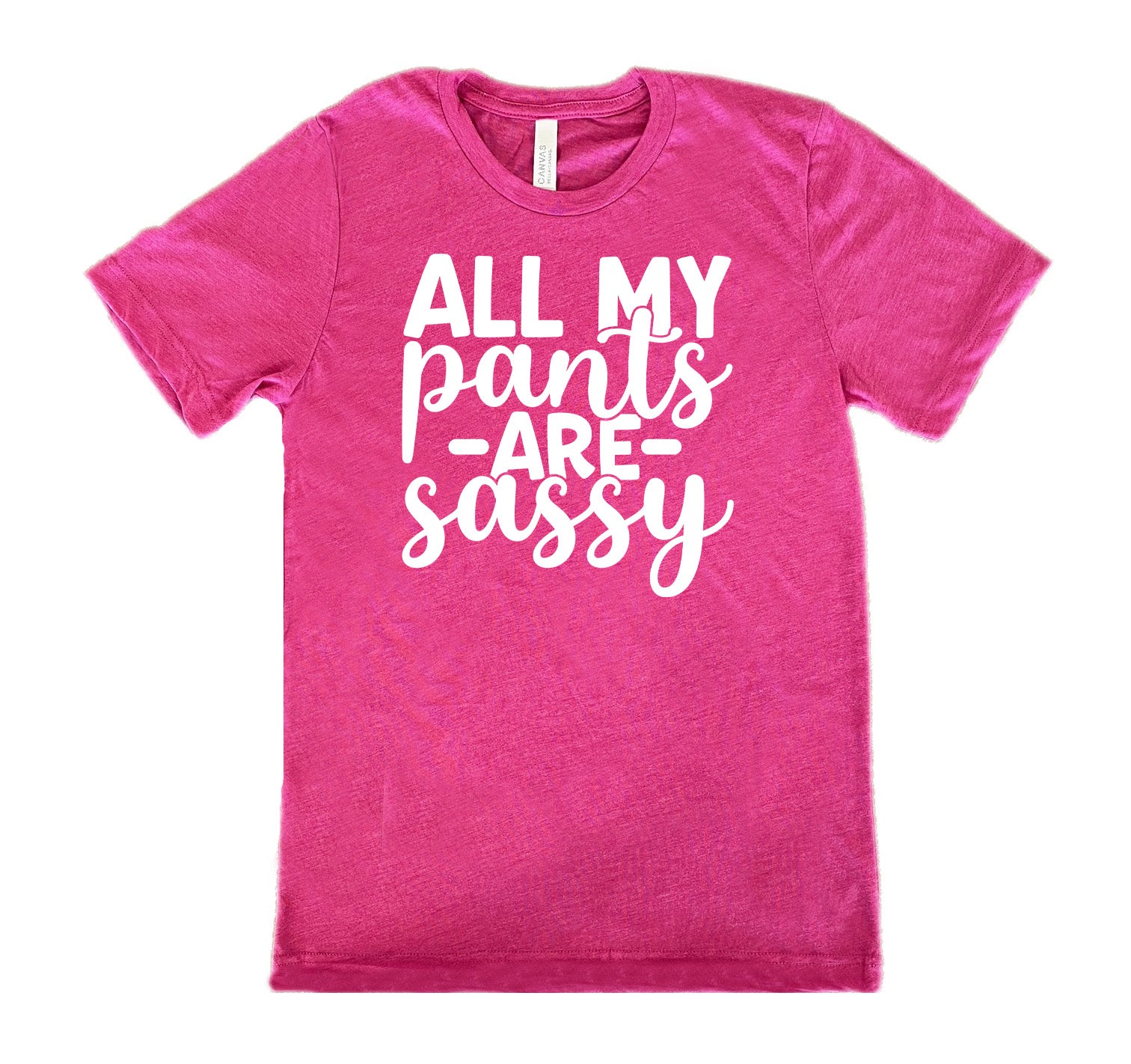 All My Pants Are Sassy Shirt Unisex
